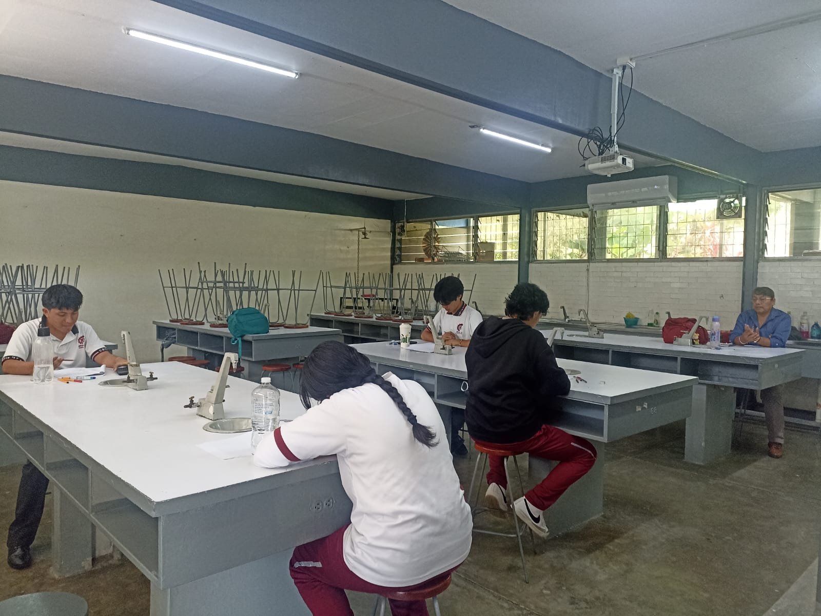 Ciencias Naturales, Experimentales y Tecnología